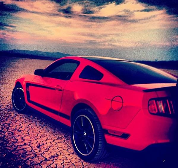 New Here -- Boss owner-image-1367080609.jpg