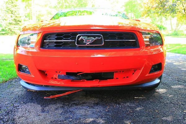 Well, it could have been a deer....-img_8765.jpg