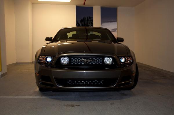 2013 Ordered/Built/Delivered Thread-mustang-front-low.jpg