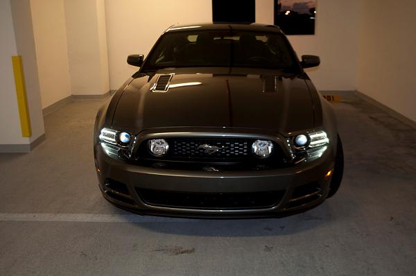 2013 Ordered/Built/Delivered Thread-mustang-front.jpg