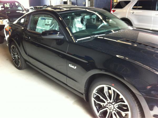 Brand New 2013 GT misfortune(mawled by a bear?)-image-3401518874.jpg