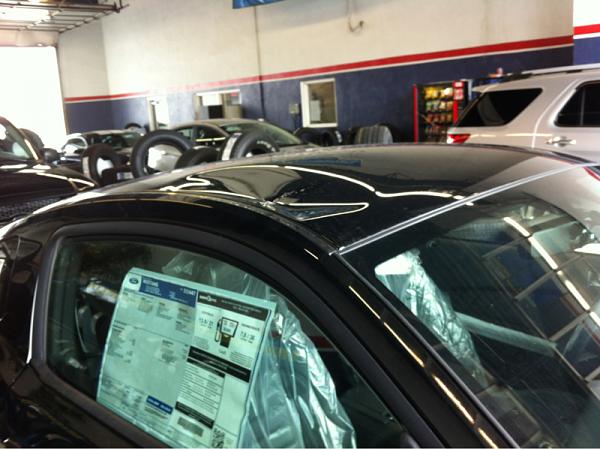Brand New 2013 GT misfortune(mawled by a bear?)-image-380155516.jpg