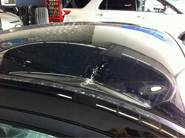 Brand New 2013 GT misfortune(mawled by a bear?)-image-1305292559.jpg
