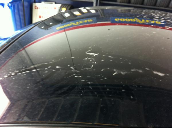 Brand New 2013 GT misfortune(mawled by a bear?)-image-3748503862.jpg