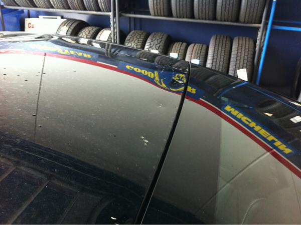 Brand New 2013 GT misfortune(mawled by a bear?)-image-1054976886.jpg