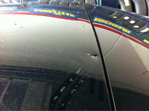 Brand New 2013 GT misfortune(mawled by a bear?)-image-2520287848.jpg