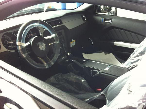 Brand New 2013 GT misfortune(mawled by a bear?)-image-2068828035.jpg