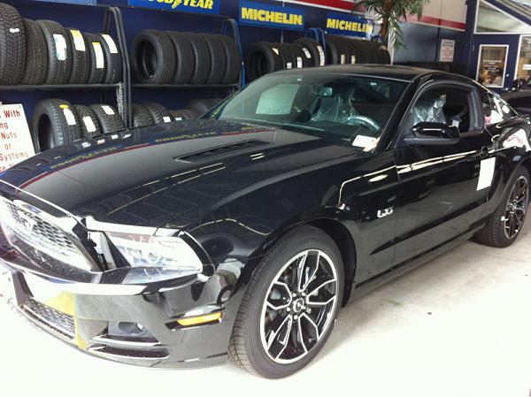 Brand New 2013 GT misfortune(mawled by a bear?)-image-254447735.jpg