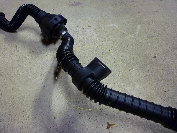 What is this strap under the hood?-snd-tb.jpg