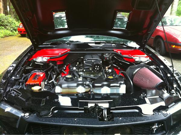 Underhood painting complete-image-1571633467.jpg