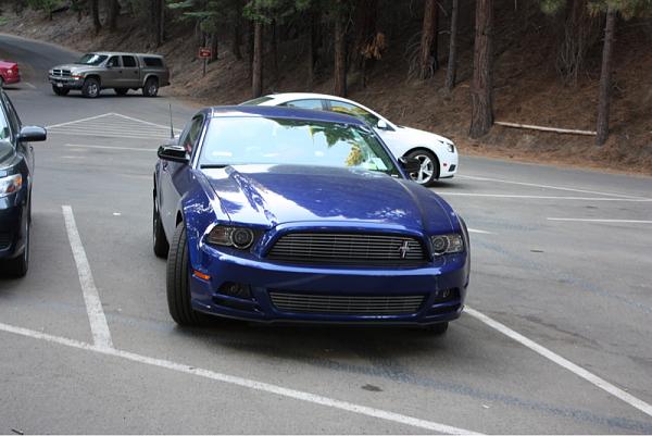 Pure looks...2013 SG MCA vs. PP-image-3325722052.jpg