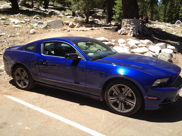 Pure looks...2013 SG MCA vs. PP-image-1593405723.jpg