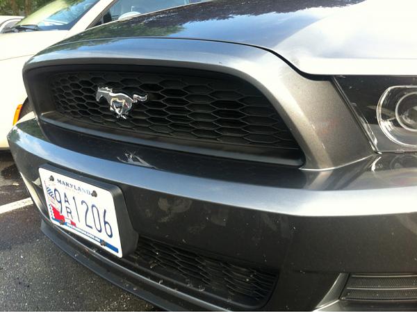 2013 V6 Grill - Remove/Replace Chrome Overlay?-image-1773188135.jpg