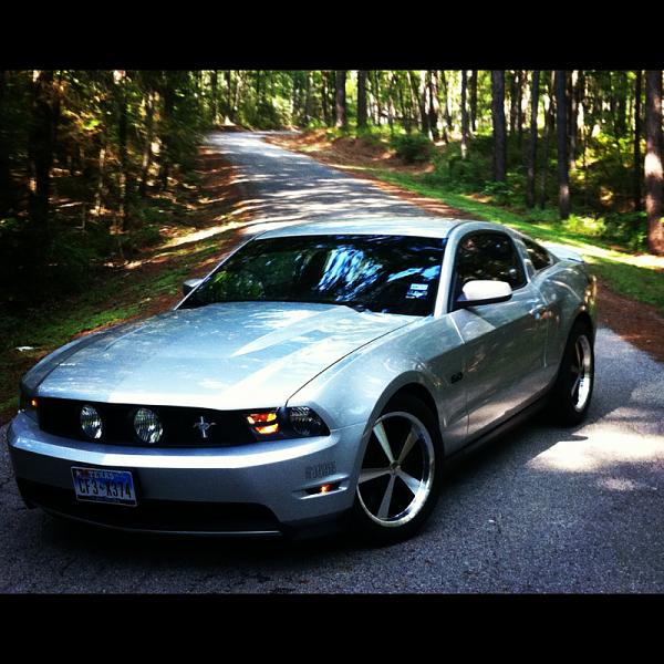 2010-2014 Ford Mustang S-197 Gen II Lets see your latest Pics PHOTO GALLERY-image-2524745826.jpg