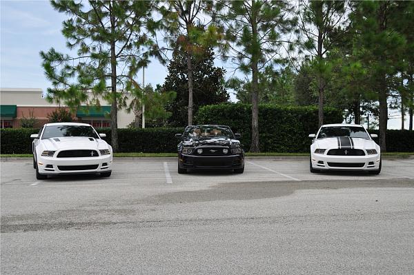 Three 2013 Mustangs Together-1.jpg