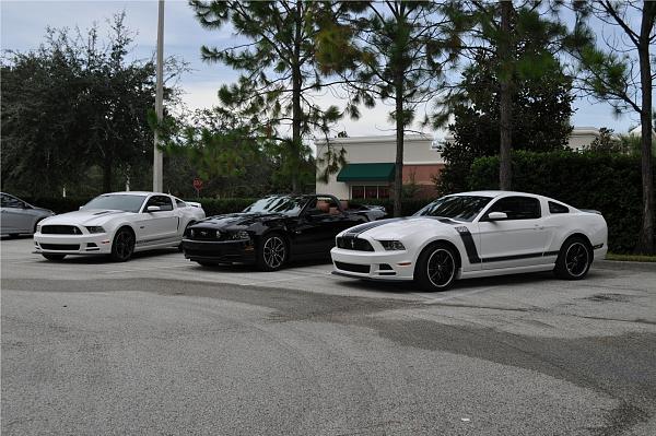 Three 2013 Mustangs Together-2.jpg