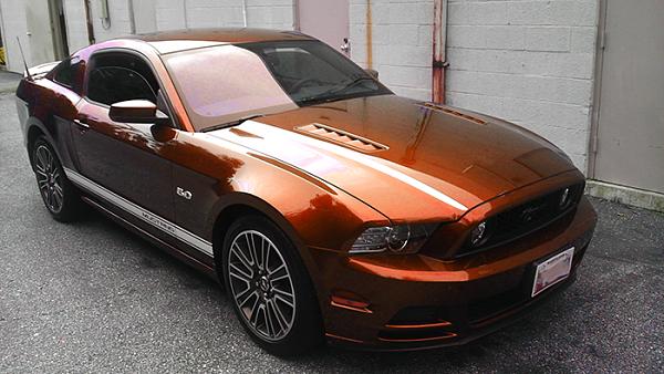 2010-2014 Ford Mustang S-197 Gen II Lets see your latest Pics PHOTO GALLERY-whatif.jpg