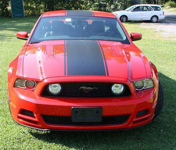 2010-2014 Ford Mustang S-197 Gen II Lets see your latest Pics PHOTO GALLERY-488033_493602740651391_770618600_n.jpg