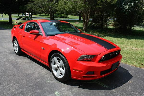2010-2014 Ford Mustang S-197 Gen II Lets see your latest Pics PHOTO GALLERY-488248_493602550651410_916111410_n.jpg