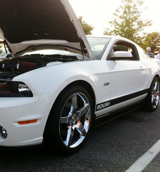 2010-2014 Ford Mustang S-197 Gen II Lets see your latest Pics PHOTO GALLERY-rons-stage-11.jpg