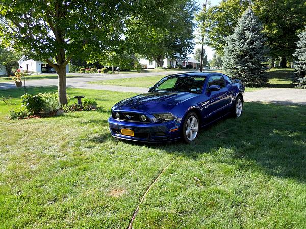 2010-2014 Ford Mustang S-197 Gen II Lets see your latest Pics PHOTO GALLERY-mustang_02.jpg