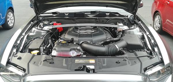 ~ Show Off your Engine Bay PIC-2012-08-15_hd-strts1.jpg
