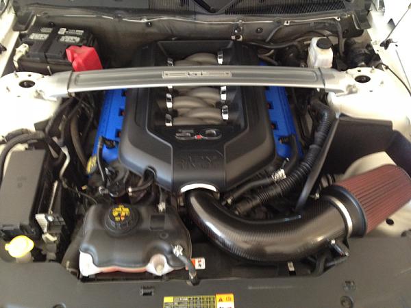 ~ Show Off your Engine Bay PIC-image-3770628448.jpg