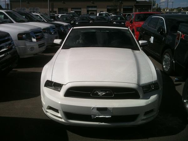 2013 Ordered/Built/Delivered Thread-image-2103213113.jpg