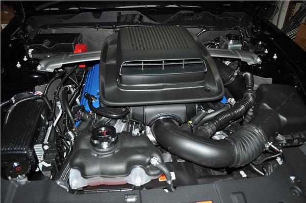 ~ Show Off your Engine Bay PIC-dsc_0005-3-.jpg