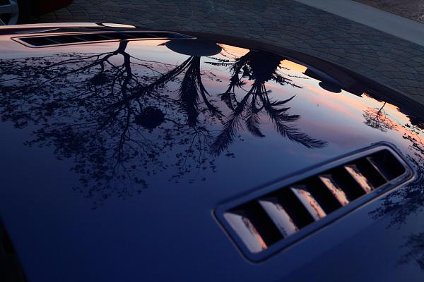 2010-2014 Ford Mustang S-197 Gen II Lets see your latest Pics PHOTO GALLERY-image-1905888127.jpg