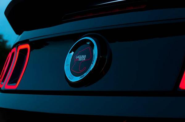 2010-2014 Ford Mustang S-197 Gen II Lets see your latest Pics PHOTO GALLERY-image016.jpg