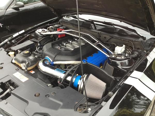 2010-2014 Ford Mustang S-197 Gen II Lets see your latest Pics PHOTO GALLERY-image-4291456646.jpg