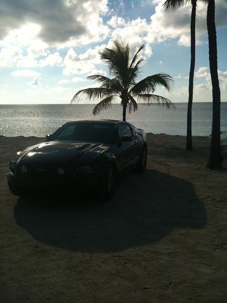 2010-2014 Ford Mustang S-197 Gen II Lets see your latest Pics PHOTO GALLERY-image-2896011946.jpg