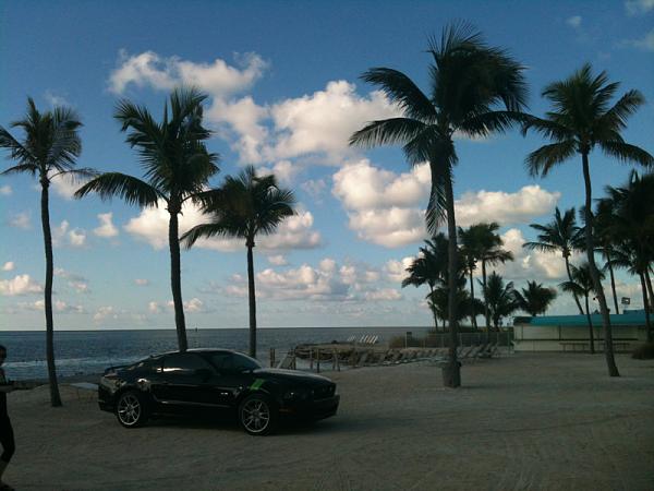 2010-2014 Ford Mustang S-197 Gen II Lets see your latest Pics PHOTO GALLERY-image-3606673681.jpg