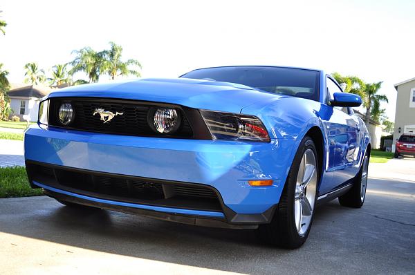 2010-2014 Ford Mustang S-197 Gen II Lets see your latest Pics PHOTO GALLERY-_dsc0061.jpg