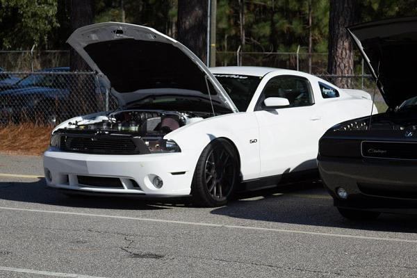 2010-2014 Ford Mustang S-197 Gen II Lets see your latest Pics PHOTO GALLERY-522167_500919513266564_955060134_n.jpg