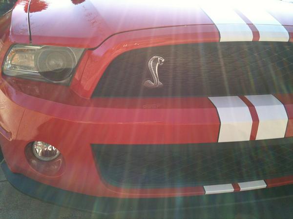 2010-2014 Ford Mustang S-197 Gen II Lets see your latest Pics PHOTO GALLERY-image-222563805.jpg