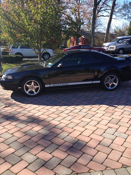 2010-2014 Ford Mustang S-197 Gen II Lets see your latest Pics PHOTO GALLERY-image-889014917.jpg