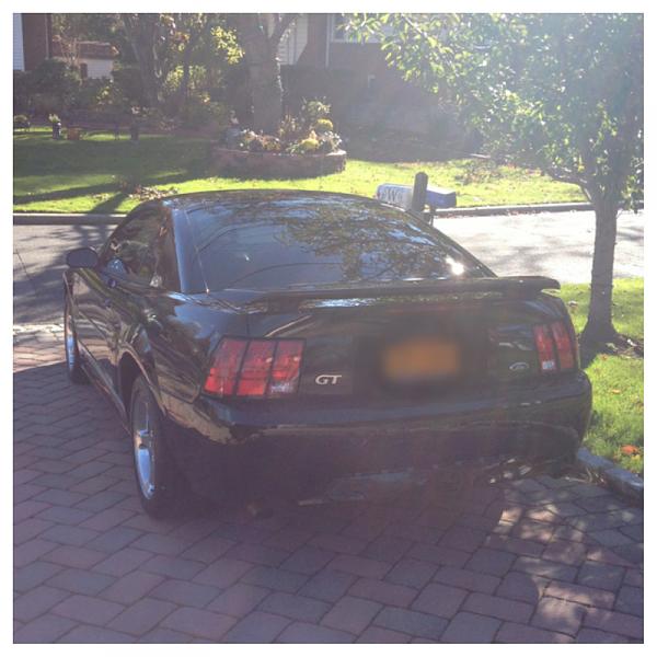 2010-2014 Ford Mustang S-197 Gen II Lets see your latest Pics PHOTO GALLERY-image-3710039419.jpg