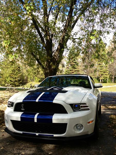2010-2014 Ford Mustang S-197 Gen II Lets see your latest Pics PHOTO GALLERY-image-3369335918.jpg
