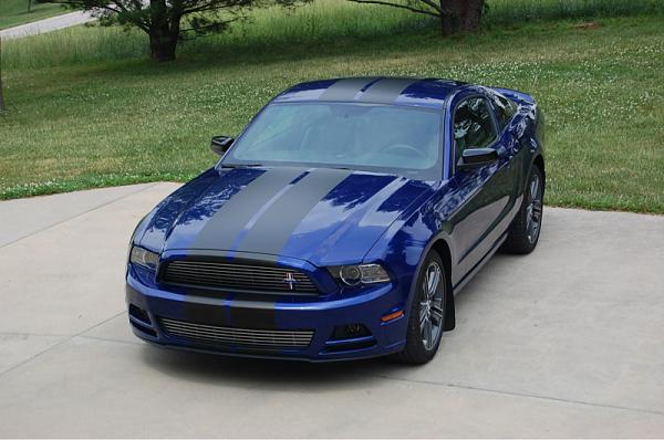 2013 Mustang GT DIB Black Gloss stripes?-image-1372177643.jpg