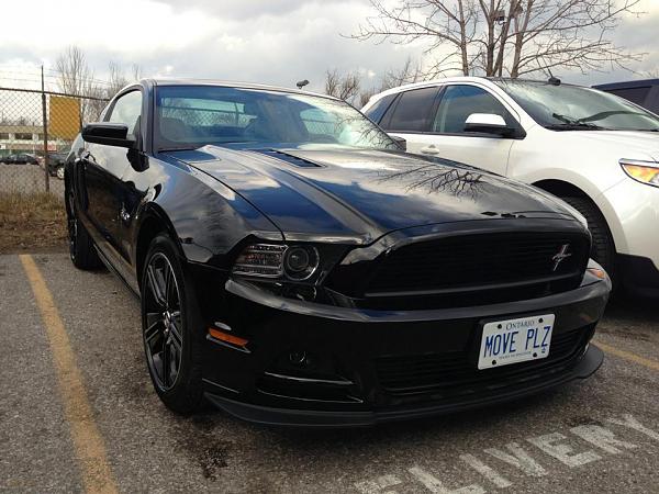 2010-2014 Ford Mustang S-197 Gen II Lets see your latest Pics PHOTO GALLERY-27900_10151560264058056_949105272_n.jpg