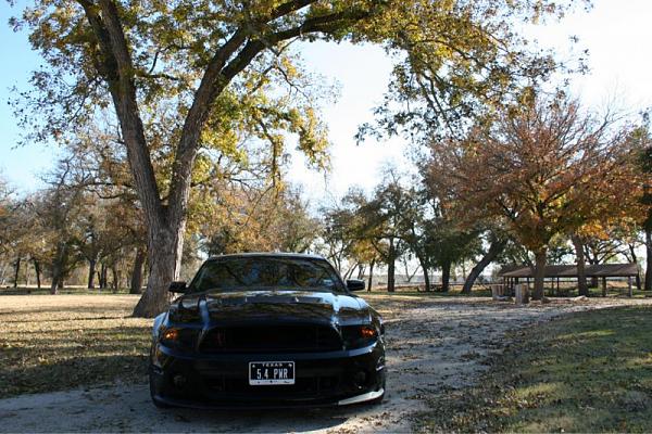 2010-2014 Ford Mustang S-197 Gen II Lets see your latest Pics PHOTO GALLERY-image-2686848586.jpg