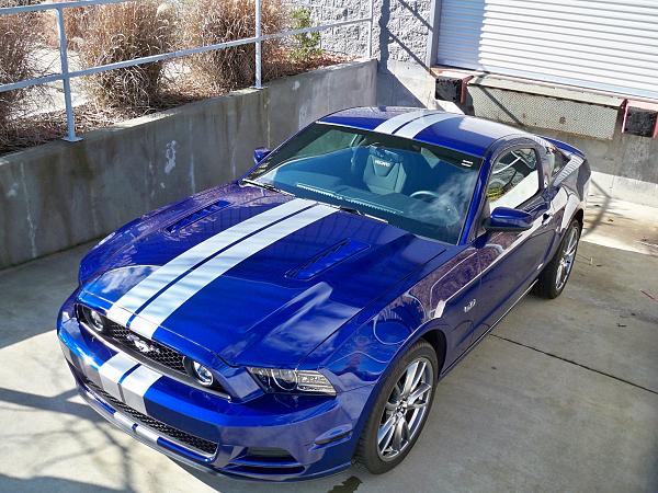 2010-2014 Ford Mustang S-197 Gen II Lets see your latest Pics PHOTO GALLERY-737427_10200360379431729_102108628_o.jpg