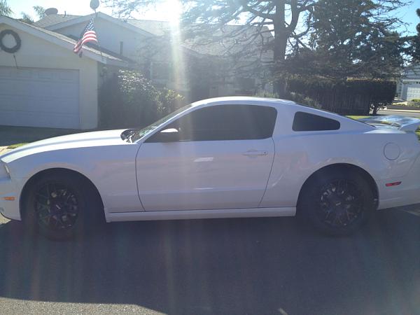 2010-2014 Ford Mustang S-197 Gen II Lets see your latest Pics PHOTO GALLERY-image-1964251705.jpg