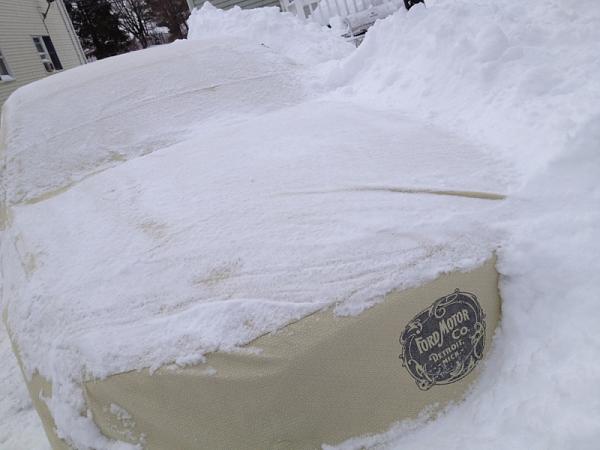 Anyone Feeling the Snow Love This Weekend?-image-1731976501.jpg