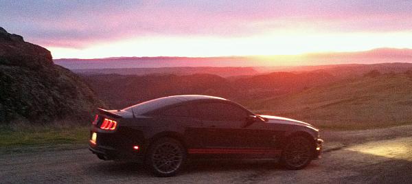 2010-2014 Ford Mustang S-197 Gen II Lets see your latest Pics PHOTO GALLERY-img_0338.jpg