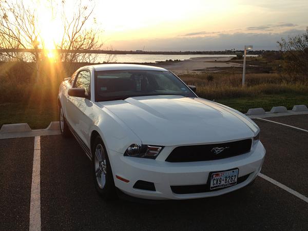2010-2014 Ford Mustang S-197 Gen II Lets see your latest Pics PHOTO GALLERY-image-396975018.jpg