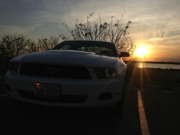 2010-2014 Ford Mustang S-197 Gen II Lets see your latest Pics PHOTO GALLERY-image-1960261038.jpg