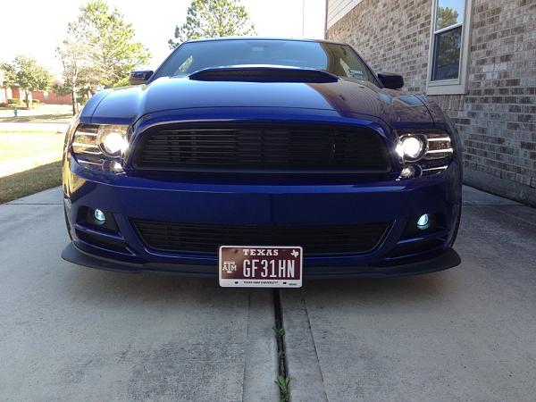 2010-2014 Ford Mustang S-197 Gen II Lets see your latest Pics PHOTO GALLERY-hidfogs.jpg